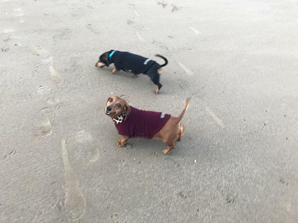 The Seahorse 1 Bedroomed Apartment Dog Friendly Filey Buitenkant foto