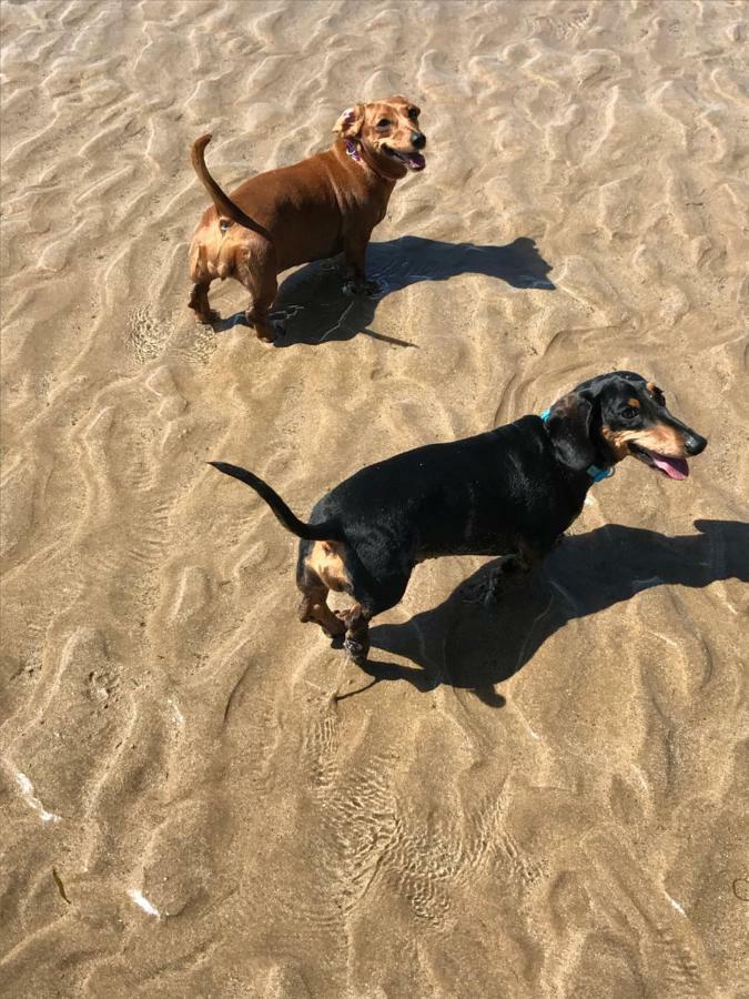 The Seahorse 1 Bedroomed Apartment Dog Friendly Filey Buitenkant foto